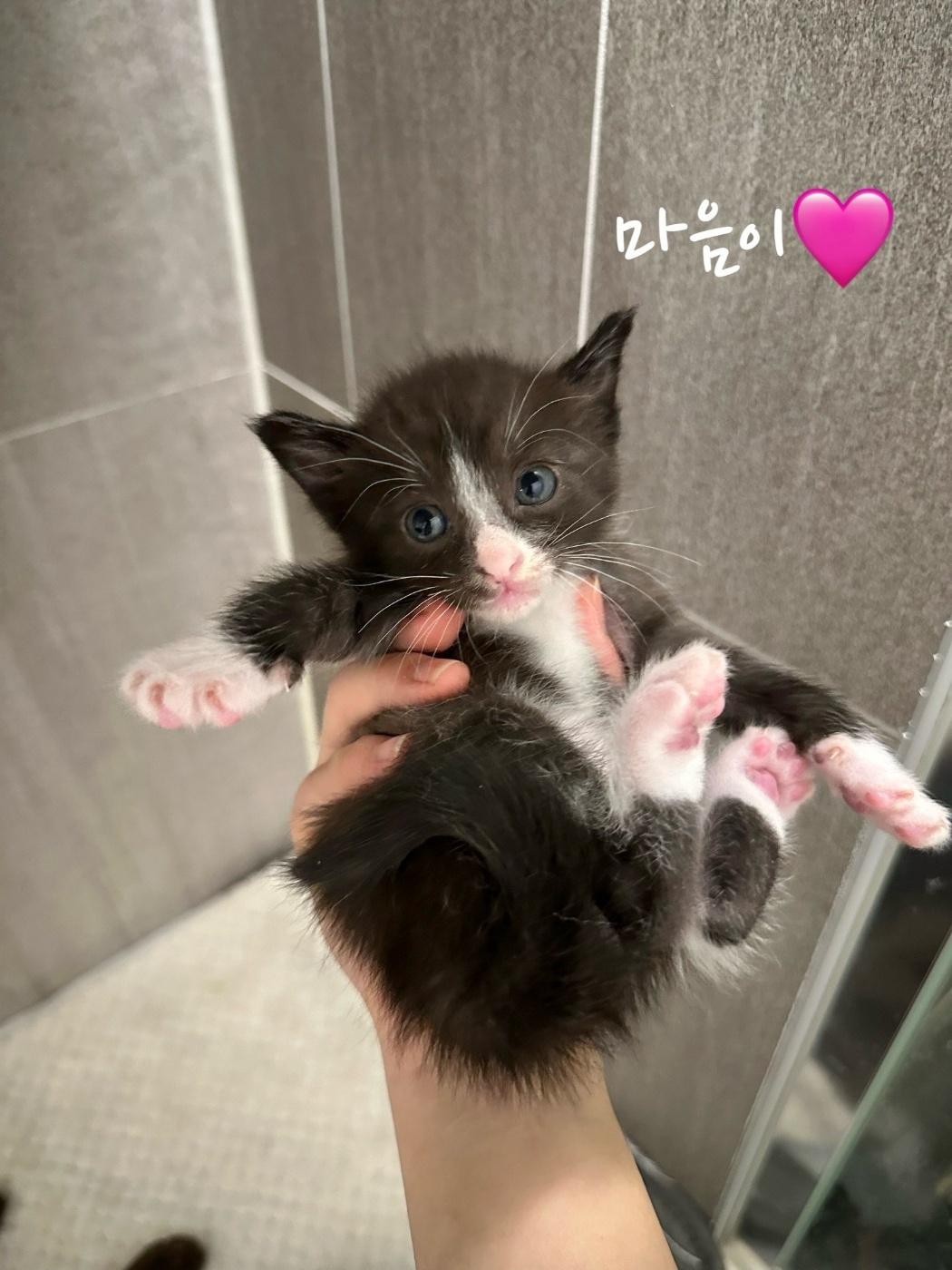 믹스묘 이미지 파일 입니다.